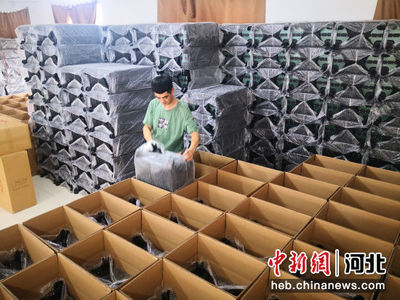 河北白溝 箱包業與化妝品產業協同發展，上半年收入達73.76億元